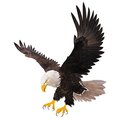 Next Innovations 23" Regale Majestic Eagle Wall Art 101410060-REGALE